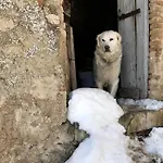 Rifugio Del Vicolo *