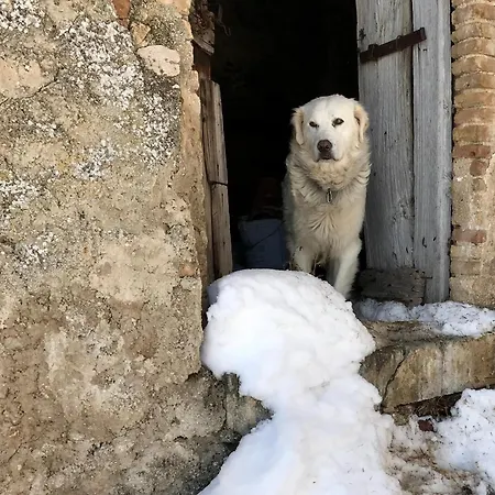 Rifugio Del Vicolo *